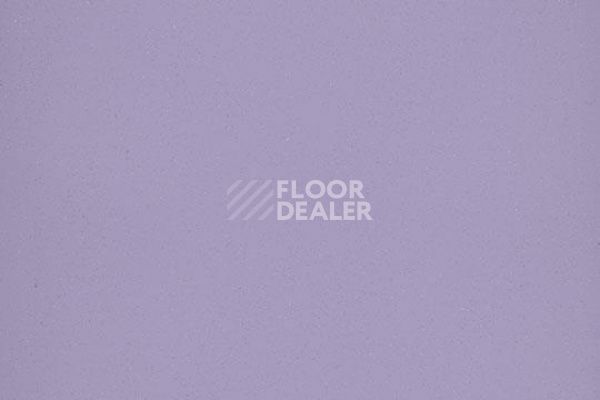 Линолеум FORBO Eternal Colour 40582 lavender фото 1 | FLOORDEALER